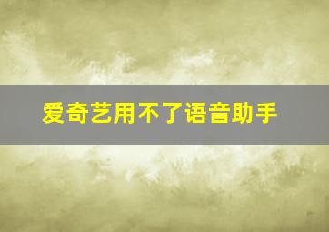 爱奇艺用不了语音助手