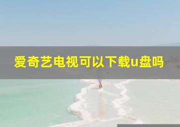 爱奇艺电视可以下载u盘吗