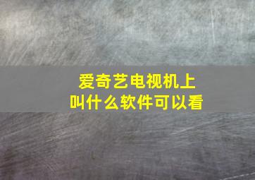 爱奇艺电视机上叫什么软件可以看