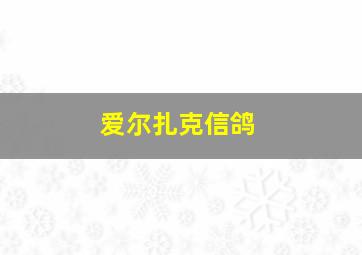 爱尔扎克信鸽