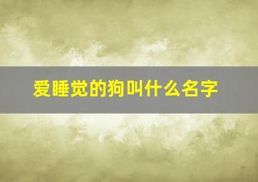 爱睡觉的狗叫什么名字