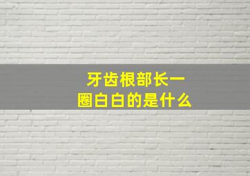 牙齿根部长一圈白白的是什么