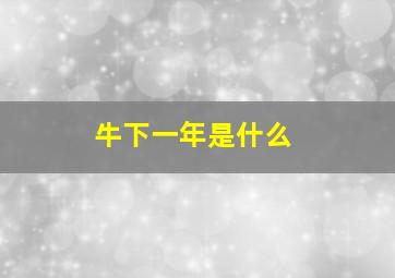 牛下一年是什么