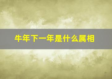 牛年下一年是什么属相