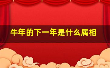 牛年的下一年是什么属相