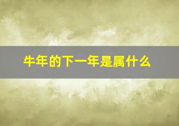 牛年的下一年是属什么