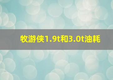 牧游侠1.9t和3.0t油耗