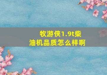 牧游侠1.9t柴油机品质怎么样啊