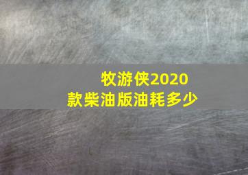 牧游侠2020款柴油版油耗多少