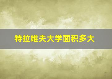 特拉维夫大学面积多大