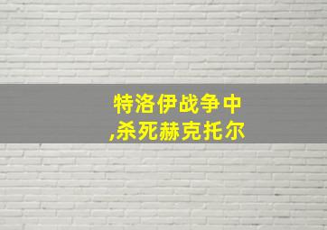 特洛伊战争中,杀死赫克托尔