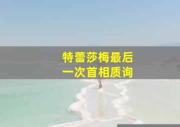 特蕾莎梅最后一次首相质询