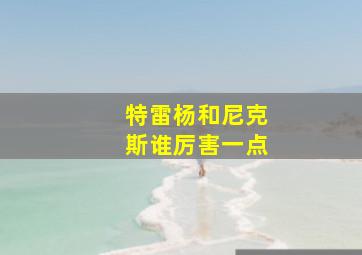 特雷杨和尼克斯谁厉害一点