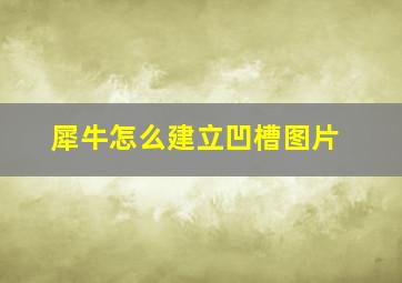 犀牛怎么建立凹槽图片