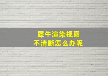 犀牛渲染视图不清晰怎么办呢