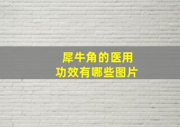 犀牛角的医用功效有哪些图片