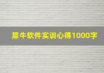 犀牛软件实训心得1000字