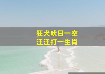 狂犬吠日一空汪汪打一生肖