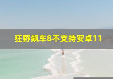 狂野飙车8不支持安卓11