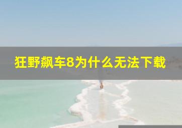 狂野飙车8为什么无法下载