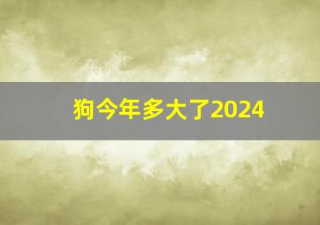 狗今年多大了2024