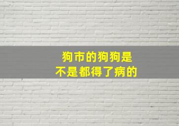 狗市的狗狗是不是都得了病的