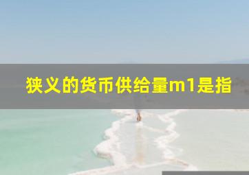 狭义的货币供给量m1是指