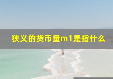 狭义的货币量m1是指什么