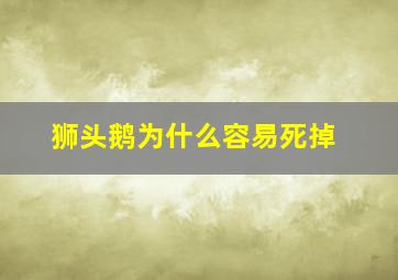 狮头鹅为什么容易死掉