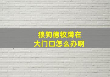 狼狗德牧蹲在大门口怎么办啊