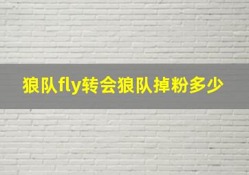 狼队fly转会狼队掉粉多少