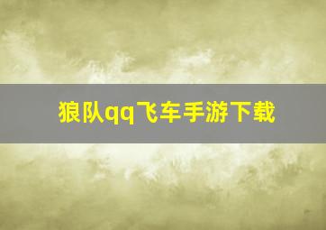 狼队qq飞车手游下载