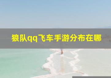 狼队qq飞车手游分布在哪