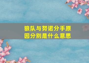 狼队与努诺分手原因分别是什么意思