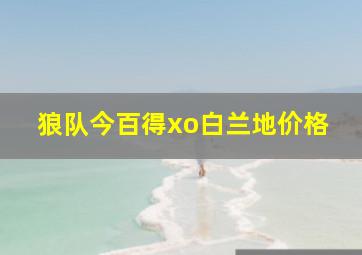 狼队今百得xo白兰地价格