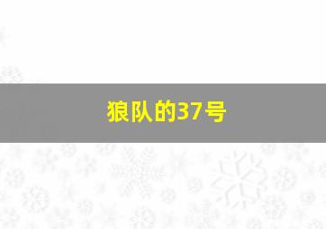 狼队的37号