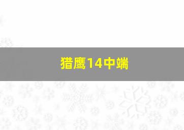 猎鹰14中端