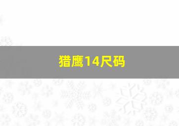 猎鹰14尺码