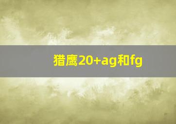 猎鹰20+ag和fg