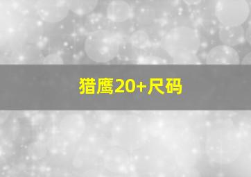 猎鹰20+尺码