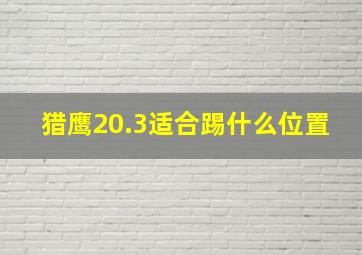 猎鹰20.3适合踢什么位置