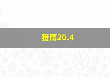 猎鹰20.4