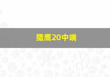 猎鹰20中端