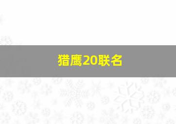 猎鹰20联名