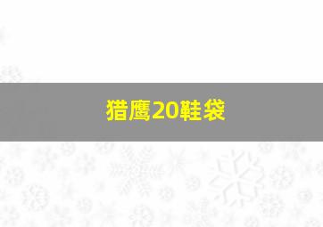 猎鹰20鞋袋