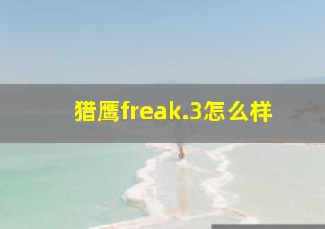 猎鹰freak.3怎么样