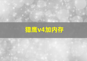 猎鹰v4加内存