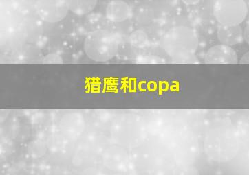 猎鹰和copa