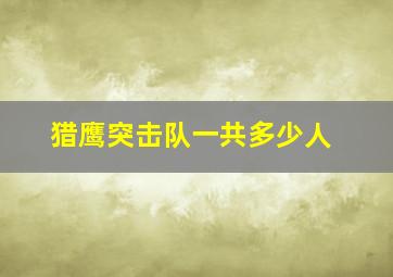 猎鹰突击队一共多少人