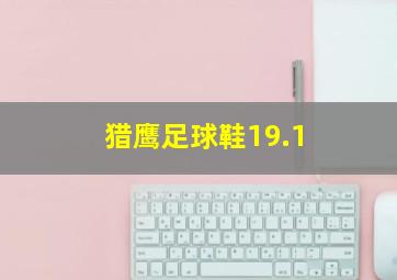 猎鹰足球鞋19.1